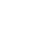 Shopify page with chat plugin