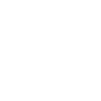 Wordpress page with chat plugin